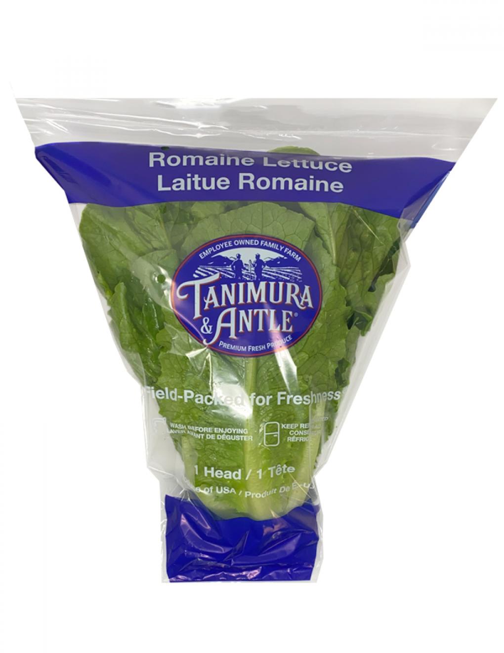 Romaine Lettuce Sold in Indiana Recalled Over Possible E. Coli | 93.1FM