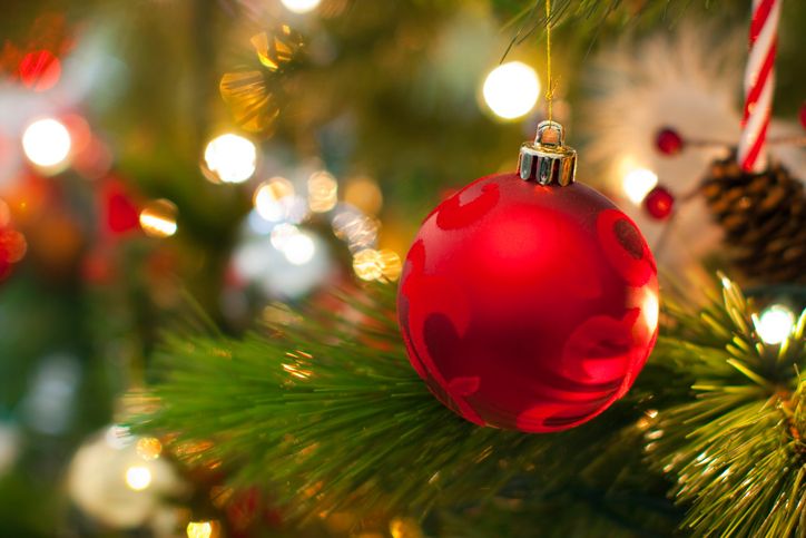 Artificial Tree Shaping 101 - Vimarsana News