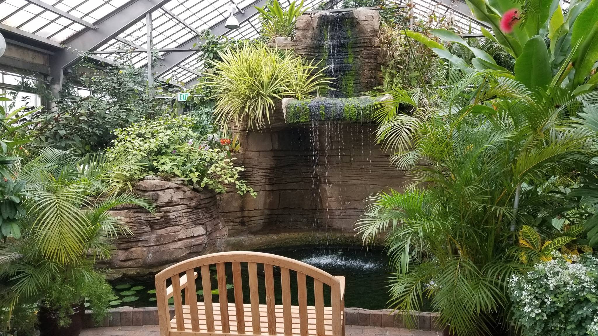 Greenhouses To Visit in Central Indiana