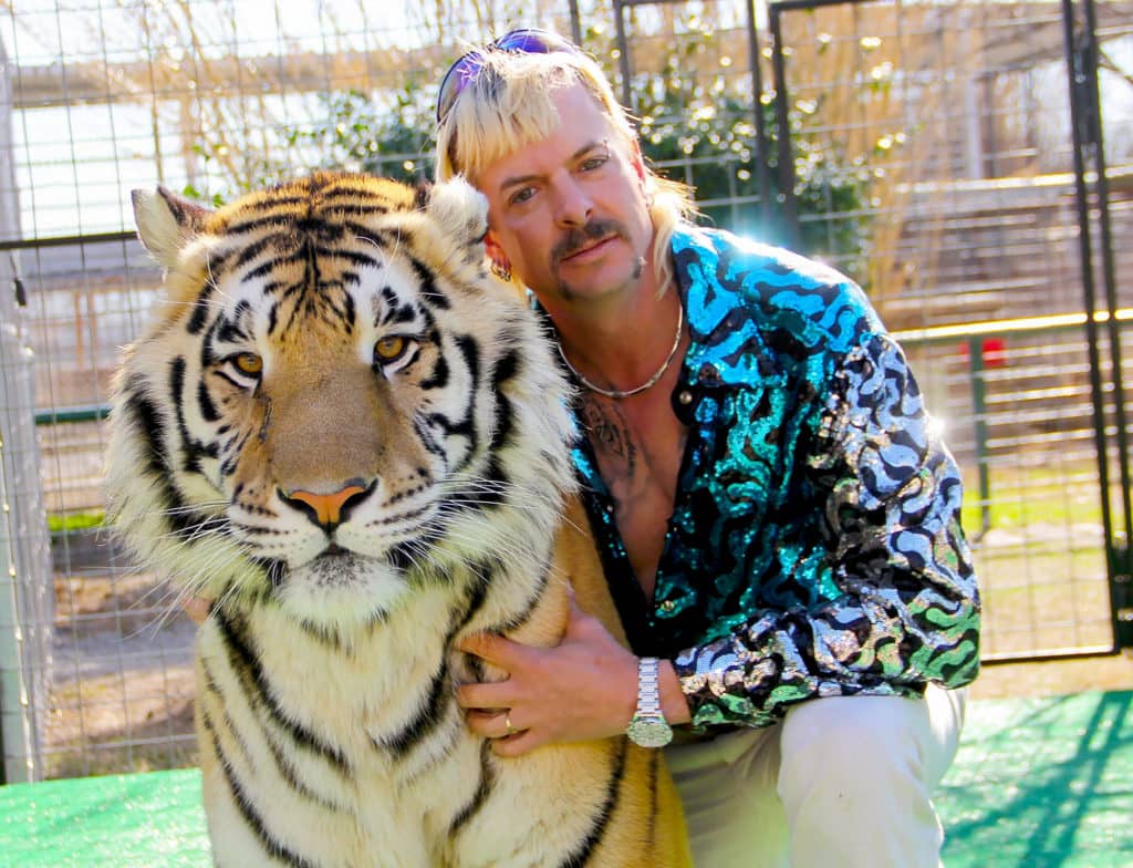 Charlestown Seizure of Bears, Cats Prompts Bill to Limit Animal Photo-Op Business - Vimarsana News