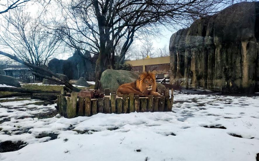 At The Indianapolis Zoo 93.1FM WIBC