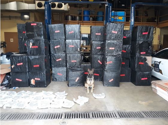 State Police Seize Half-Ton Of Pot In Traffic Stop - Vimarsana News