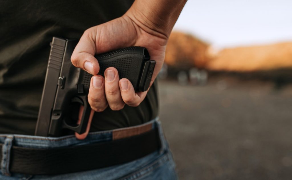 "Hey Guy, What Gun Should I Buy?" - Vimarsana News