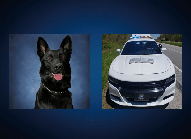 Photo of K9 Axel, photo of the trooper's car with nine pounds of fentanyl on the hood