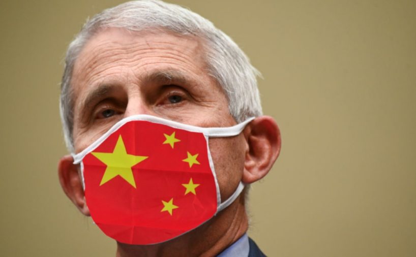 Anthony Fauci, director of the National Institute of Allergy and Infectious Diseases, wears a Washington Nationals protective mask during a House Select Subcommittee on the Coronavirus Crisis hearing on July 31, 2020 in Washington, DC. Trump administration officials are set to defend the federal government's response to the coronavirus crisis at the hearing hosted by a House panel calling for a national plan to contain the virus. (Photo by Erin Scott-Pool/Getty Images)