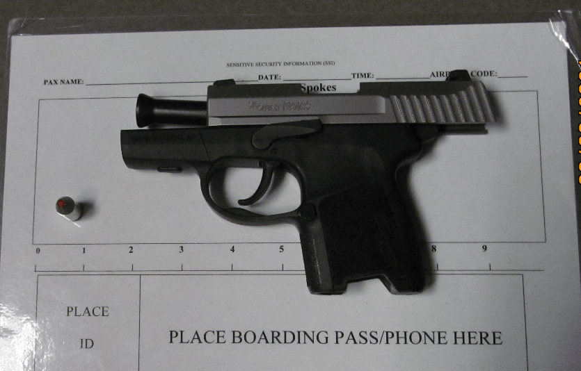 Gun Permit Repeal Faces Rockier Path in Senate - Vimarsana News