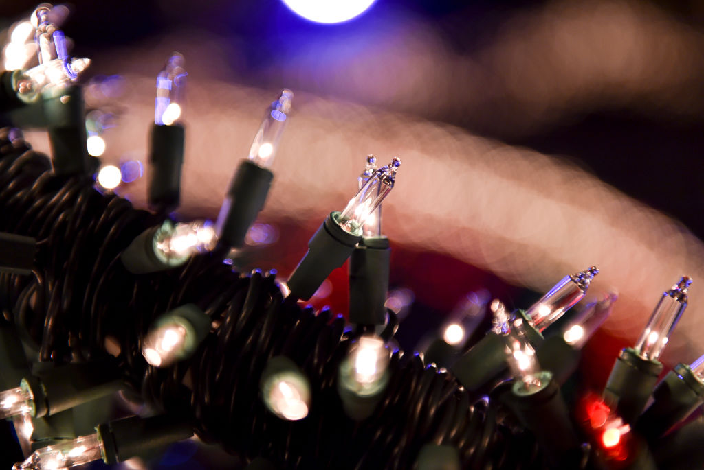 Winterlights Returns to Newfields Starting Nov. 22 - Vimarsana News