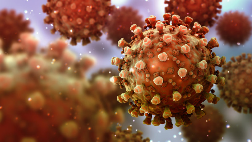 A digital image of a coronavirus.
