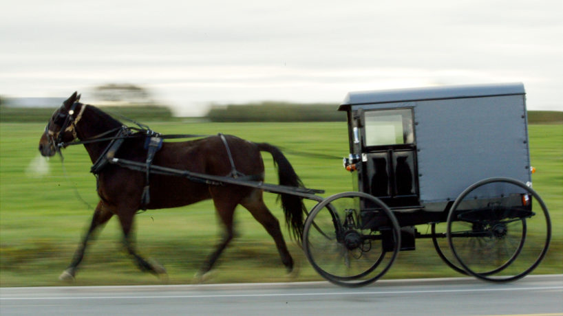 Horse Drawn Amish Buggy rolling down the road