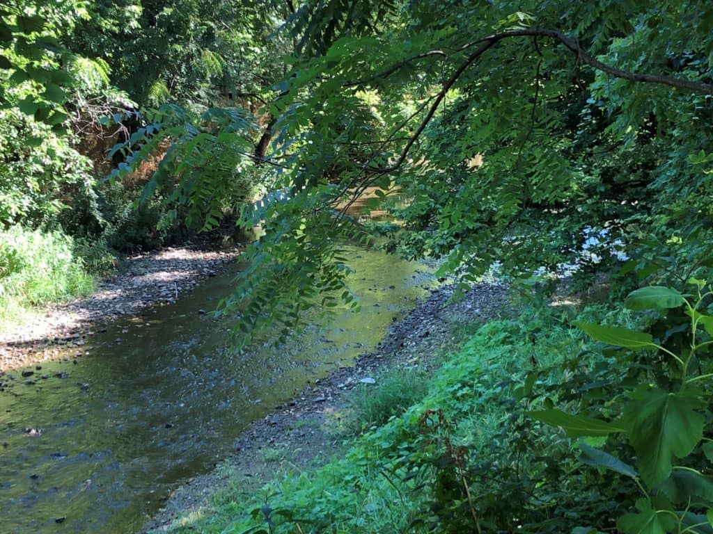 Neighborhood Grants Target Greenspaces, Beautification Projects - Vimarsana News