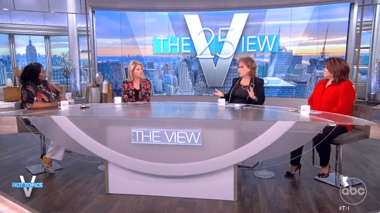 The View Panel July 25th