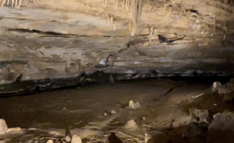 inside the Marengo Cave, Indiana