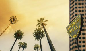 Los Angeles, West Coast Palm Tree Sunshine themed background,