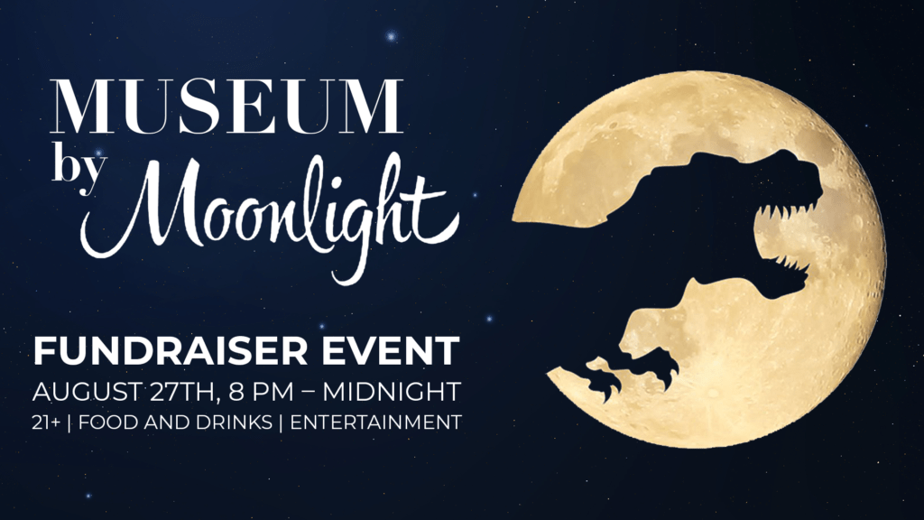 Museum by Moonlight - Vimarsana News