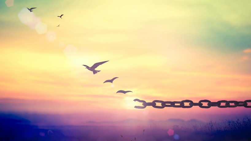 FREEDOM OVER RELIEF