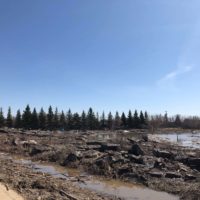 mackenzie-flood-jpg