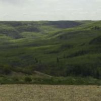 green-valley-pp-jpg