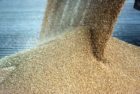 grains-cereal-at-a-agricultural-silo
