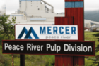 mercer_mid-banner-png