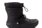 winter-croc