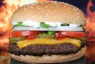 hamburger-g178dbaf0a_1920