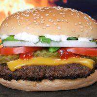 hamburger-g178dbaf0a_1920