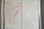 img-1269