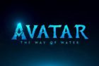 avatar-2-title-1651137698