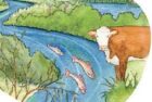 cows-and-fish