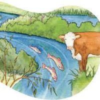 cows-and-fish