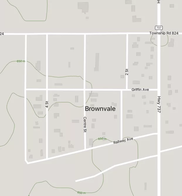 Happy 100th to Brownvale! River Country