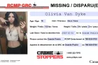 missing-poster-van-dyke