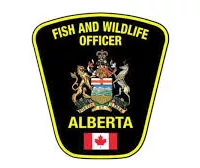 fish-wildlife