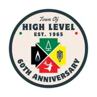 high-level-anniversary-logo