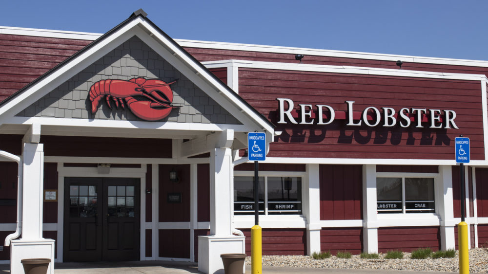 Extremely Rare Lobster Was Rescued From Red Lobster Restaurant Kayla Mix 97 3