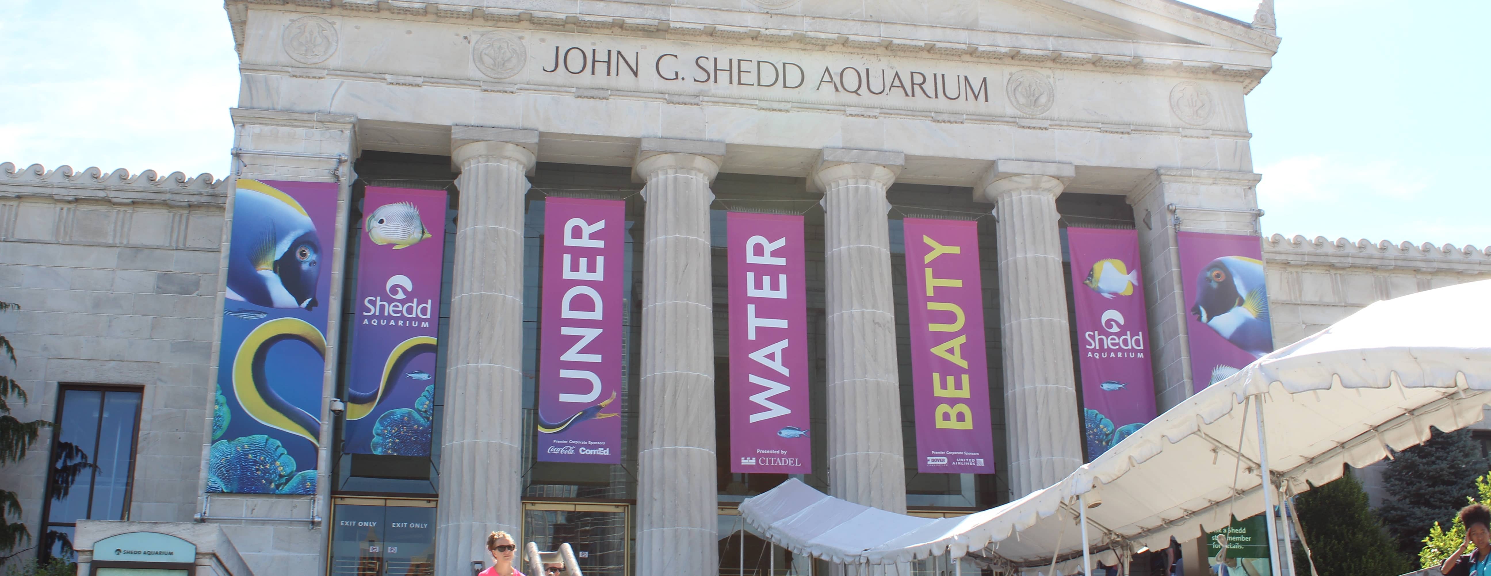 shedd_aquarium_2018-cropped-1