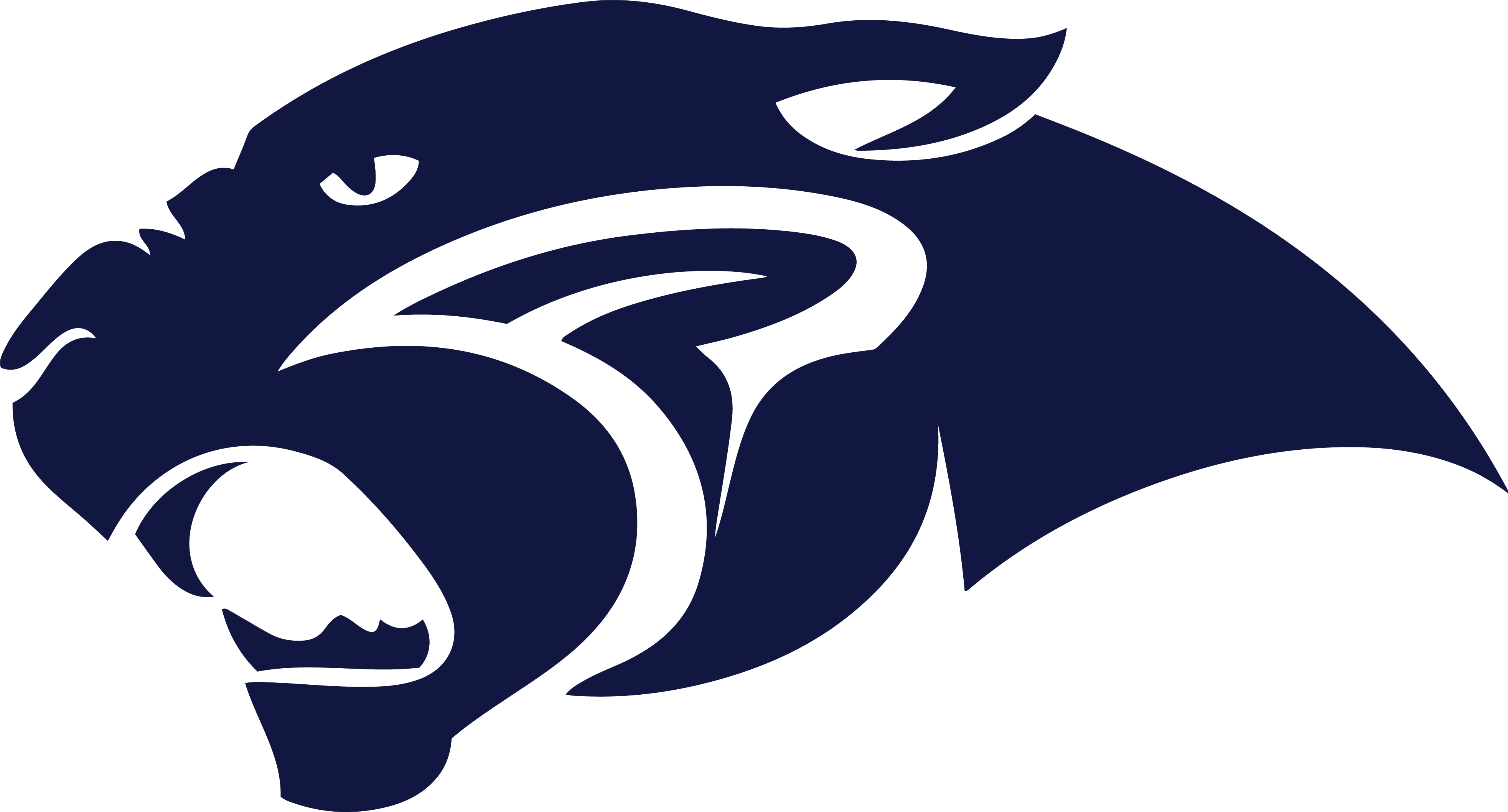 pinckneyville-panthers-logo-png