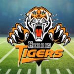 herrintigers-jpg-4