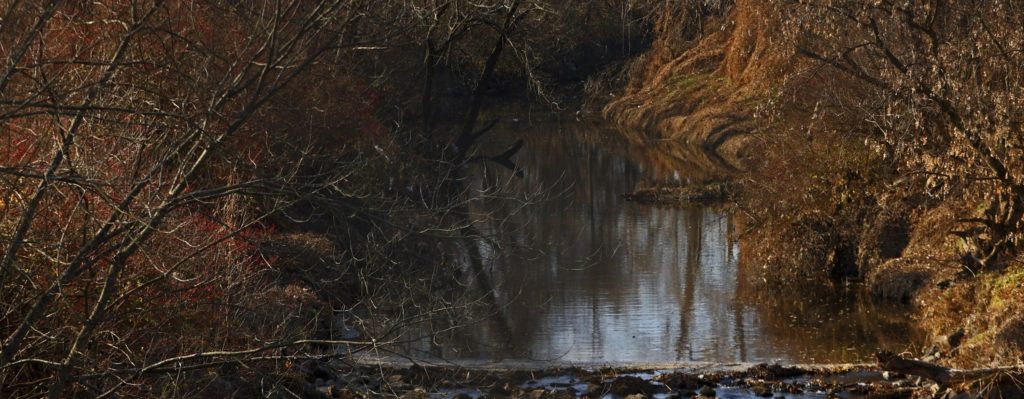 Nuclear contamination testing planned at St. Louis-area park - Vimarsana News