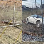 1147x447-wms-co-car-theft