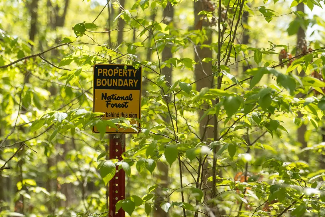 260901-FOREST-BOUNDARY-JB.jpg: A National Forest sign marks the Shawnee National Forest property boundary near Bell Smith Springs. (Saluki Local Reporting Lab photo by Daylin Williams)