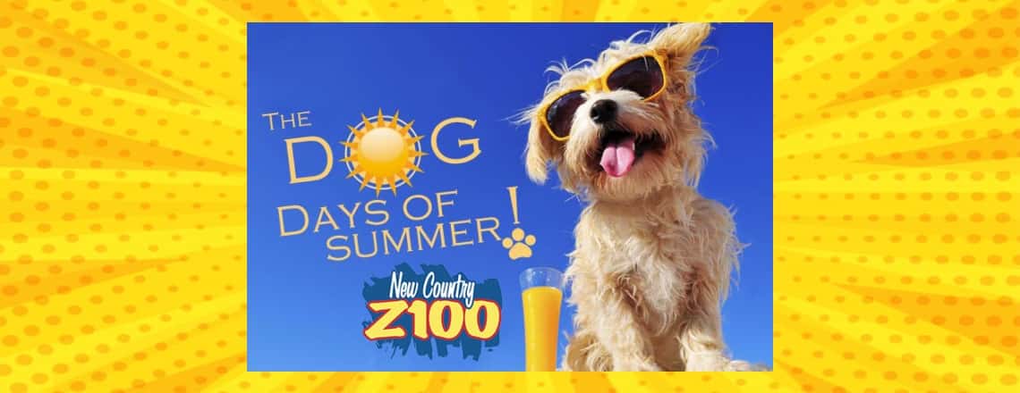 dog-days-of-summer-slider