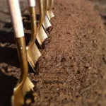 shutterstock_685348138-jpg