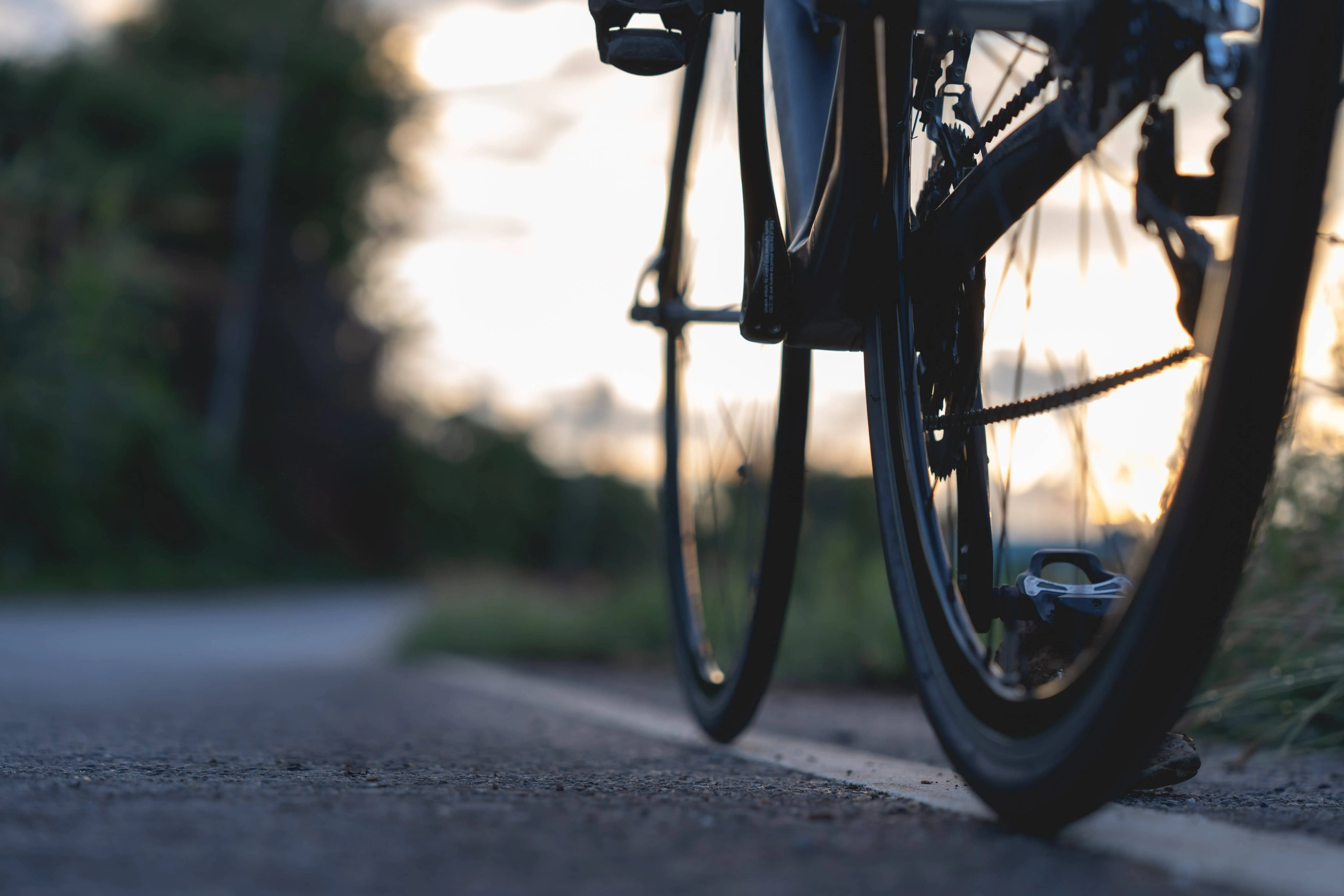 shutterstock_2322641045