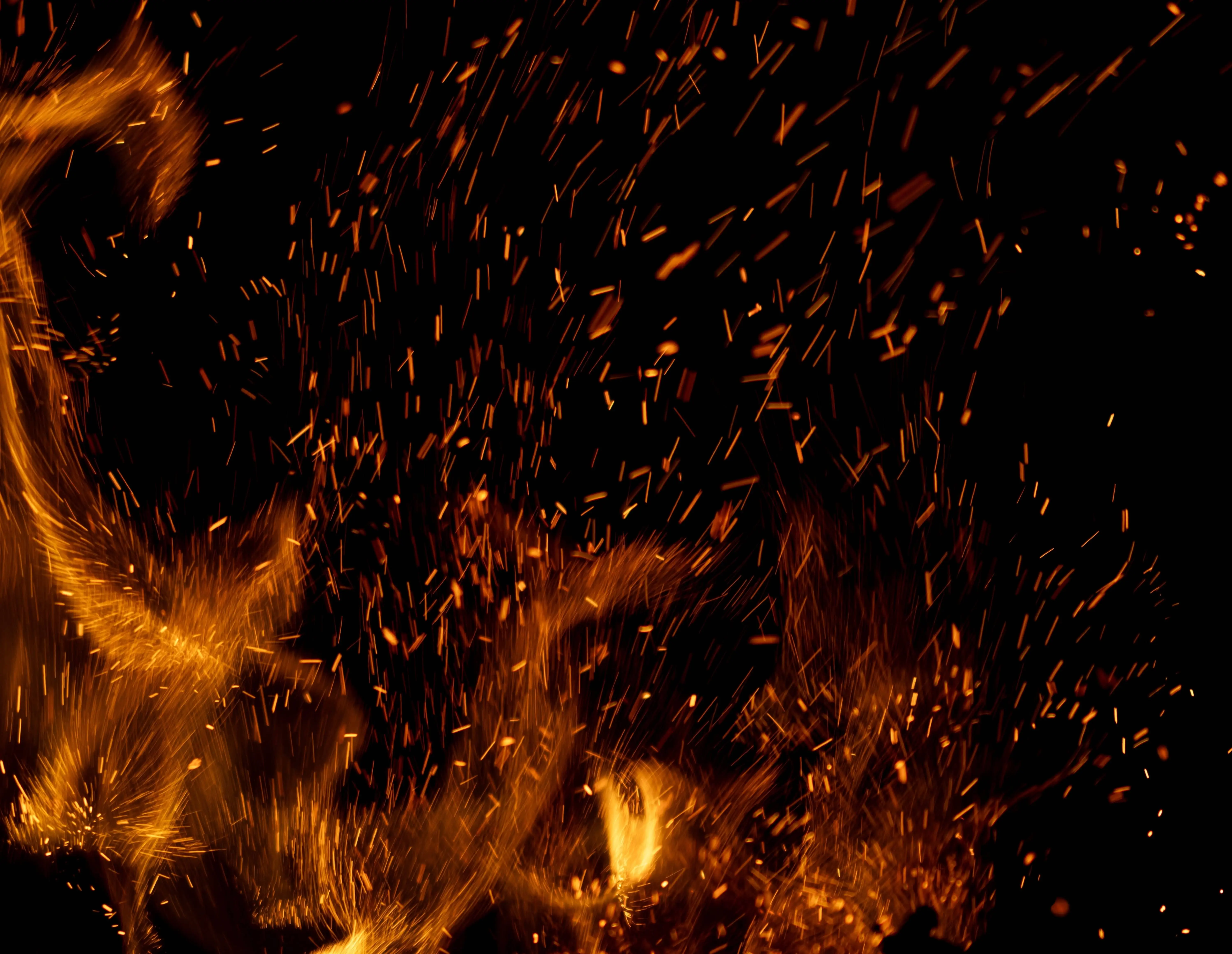 shutterstock_2544176069-1