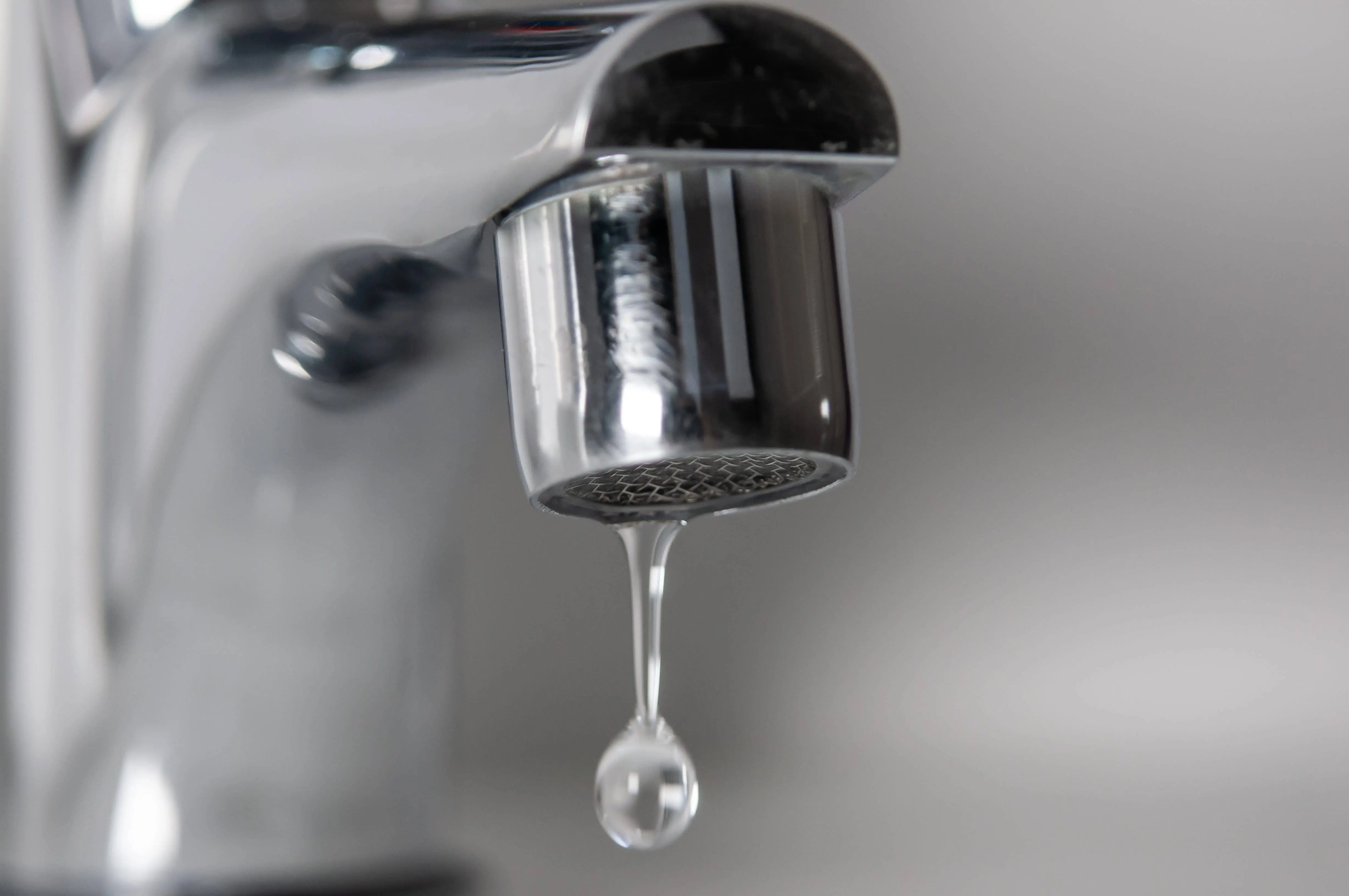 shutterstock_2328338233-1