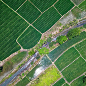 farm-fields