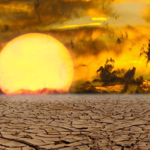 drought-3
