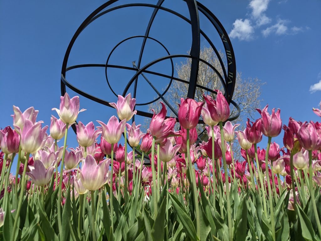 Tulip Time! Iowa's Best Country, KIX 101.1