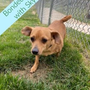 29b83162-e33e-4c49-8a39-b953ef63450e